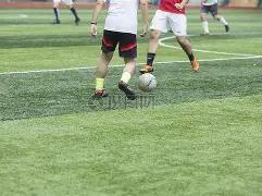 月下旬生肖,财运爆发,财富滚滚来,OD体育官方,OD体育在线官网,OD体育线上,OD体育APP